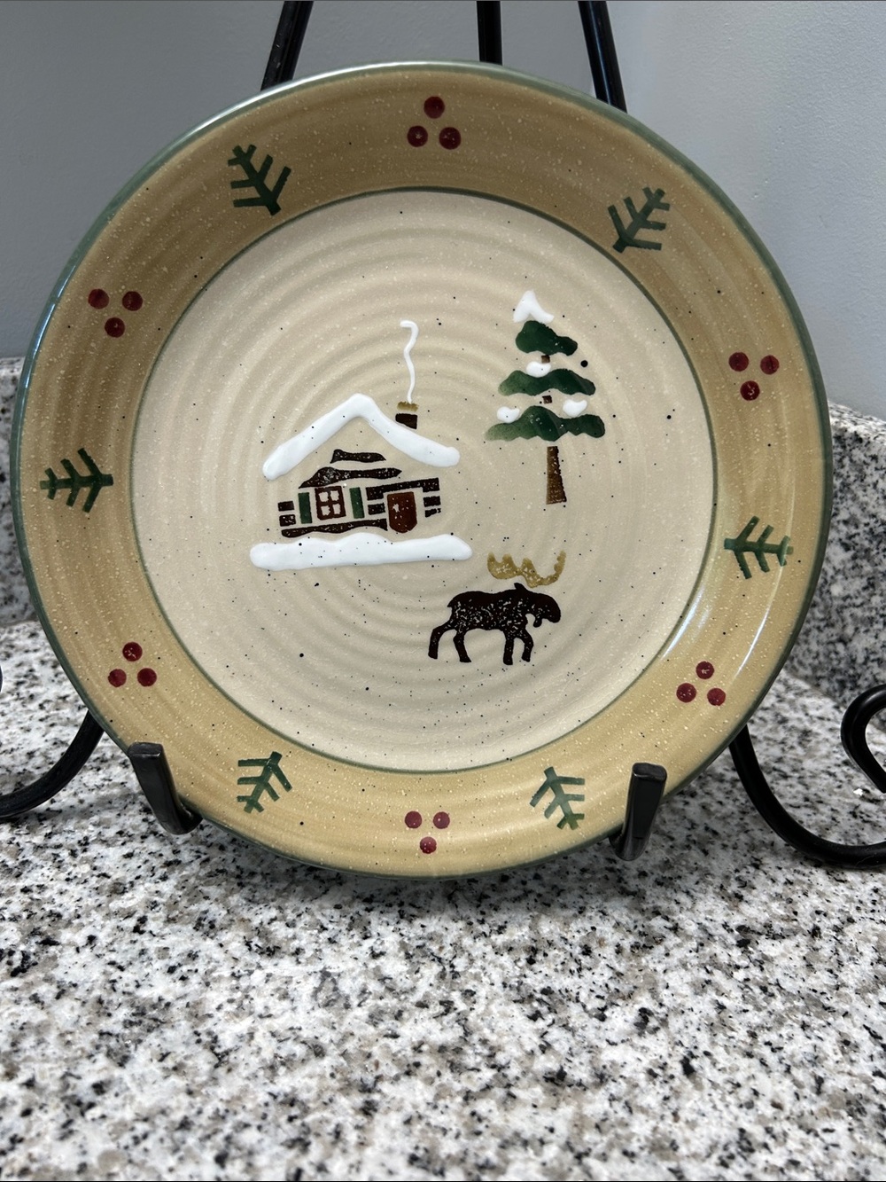 Sonoma Lodge Stoneware 8” Salad Plates (4)